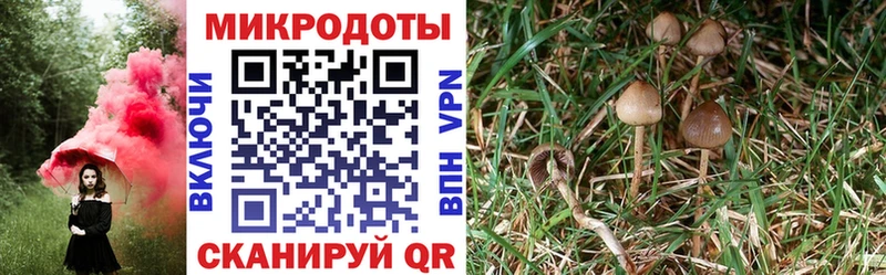 Галлюциногенные грибы ЛСД  Сергач 